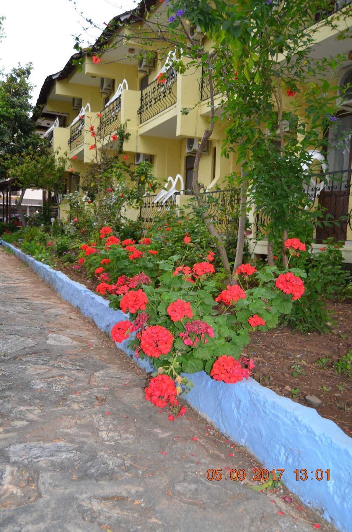 Dalyan Patio Hotel Bagian luar foto